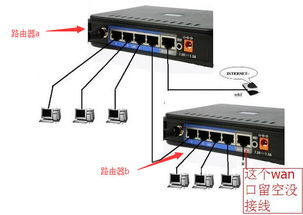 为什么路由器插到WAN不能用,进线和出线都插到1234里面就能上网了 