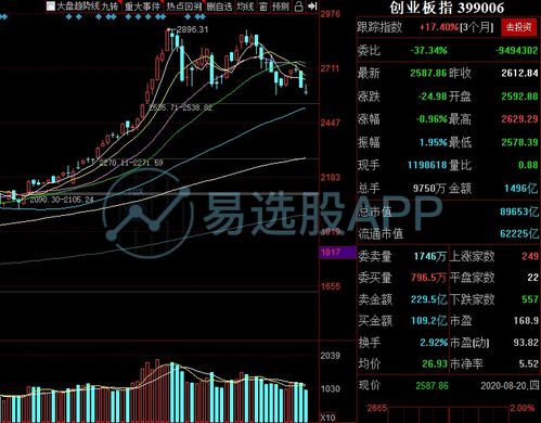 修改成本是什么股票的网上交易内，有个修改成本是指什么意思