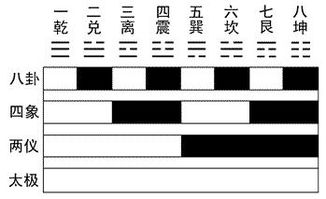 八卦的结构 