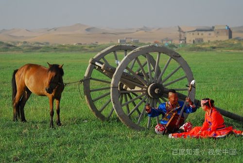 老舍的草原是按照什么顺序  第1张