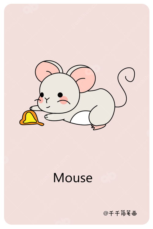 儿童英语词汇认知 老鼠Mouse