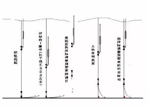 如何半水调标的详细方法