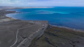 青海湖围栏什么样(围着青海湖转一圈多少公里)