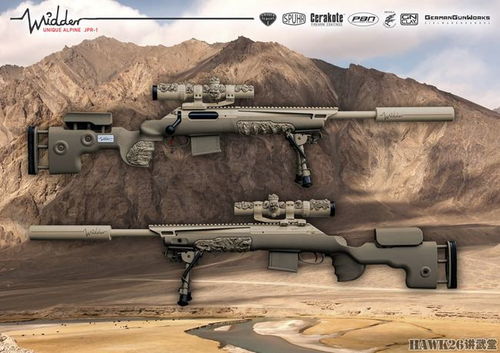 日耳曼枪械工作室 摩羯座 步枪套装 全新材料彻底改变武器外观