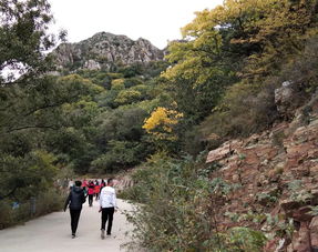 重上家山第一峰