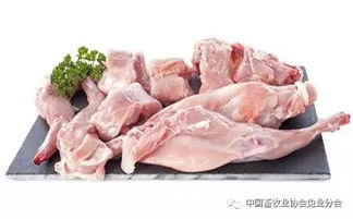 兔肉的五大功效与作用