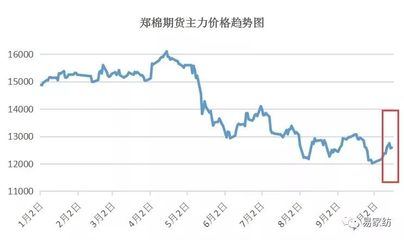 皮棉期货今日价格（皮棉期货今日价格表）