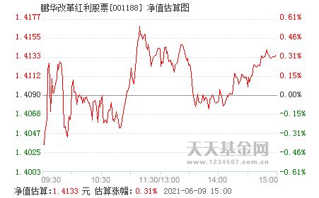 股票红利是什么