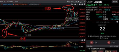 刚在云掌财经上买了只股票重庆港九(600279)这只股票怎么样？