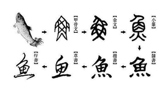 汉字冷知识,甲骨文是汉字的起源 太平天国促进了汉字的简化