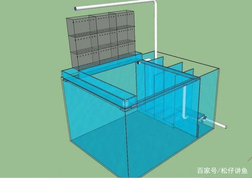 价格 图片 品牌 怎么样 元珍商城 