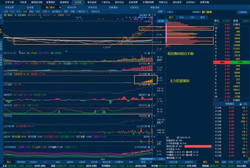 为什么说 中国大部分散户都不适合炒股