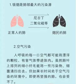 健康 人体脏器保养小常识 