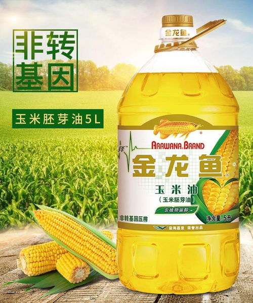 金添食用油好不好？