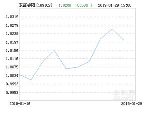 东方红睿阳灵活配置混合型证券投资基金是什么基金