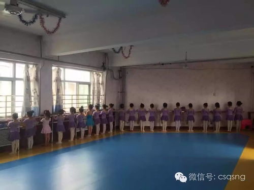 北京舞蹈学院中国舞学生等级考试报名方法 