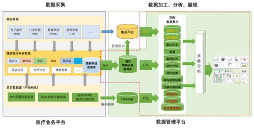 比较俄罗斯免费查重工具与商业服务