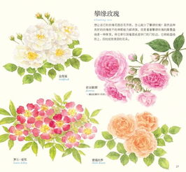 春夏秋冬季节花的图片 搜狗图片搜索