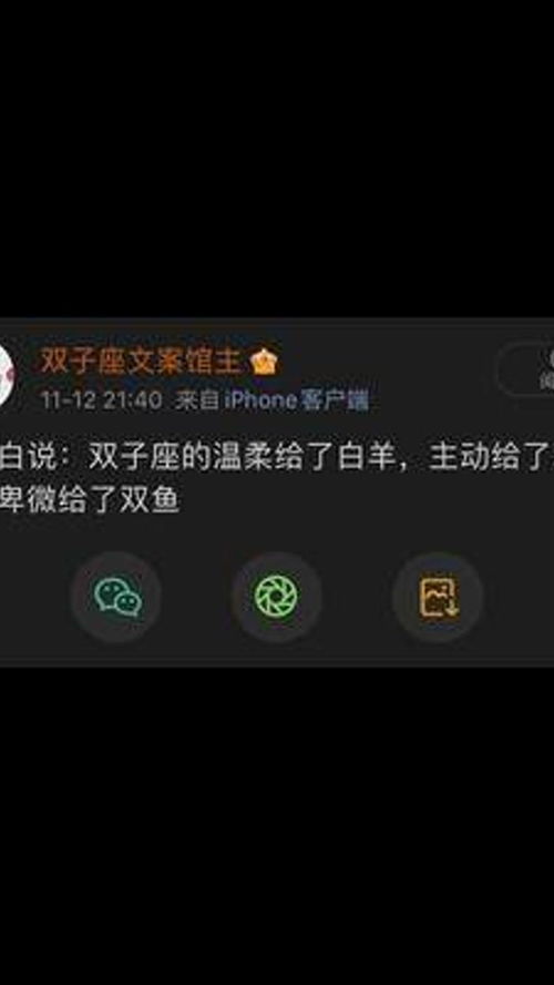 陶白白说 双子座的温柔给了白羊,主动给了水瓶,卑微给了双鱼 双子座 