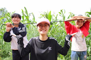 李心雨 