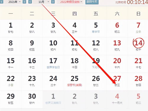 己卯日2025年运势