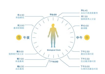 为什么闹钟可以激发一个睡着的人的意识 ，如何设紧急集合的闹钟提醒