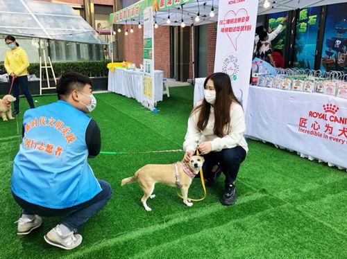 人生下半场 都为了 毛孩子 他建了上海首个 动物方舱 又在浦江镇开启了新的 宠物公益人生