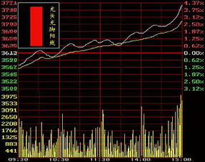 股票封长停收光头光脚阳线，明天走势如何?