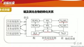 高中化学 硫酸