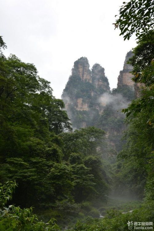 张家界旅游是天门山好还是芙蓉镇好