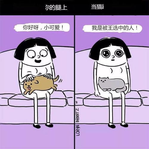 养猫VS养狗,沙雕漫画对比,简直太真实了