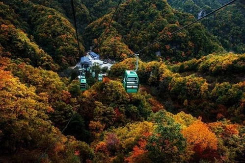 天河大峡谷年票能用吗