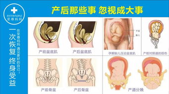 有人说顺产会让 阴道变松 真相其实是这样的