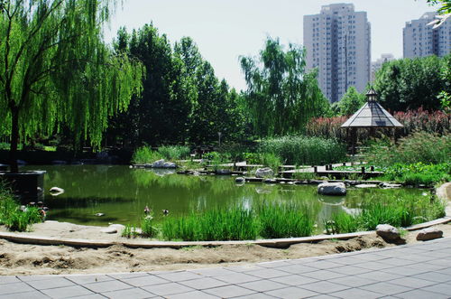 北京允许带宠物的公园，北京能带宠物的公园2020