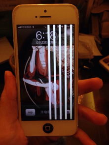 iphone5屏幕花屏,是排线坏了呢 还是屏幕坏了呀 