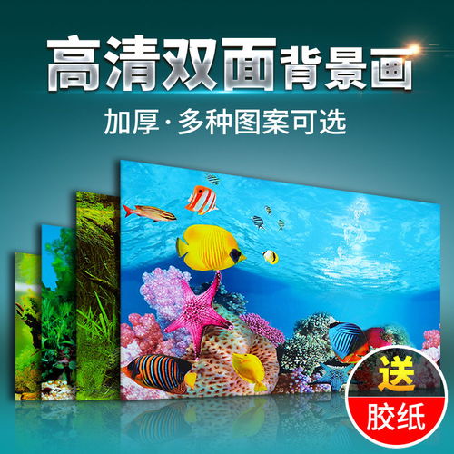 鱼缸背景贴纸3d背景图高清水族鱼缸壁纸造景装饰画珊瑚石纸画