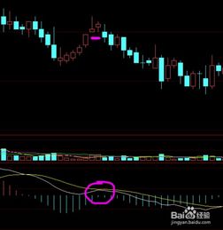 股票软件中macd的编程公式