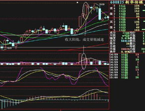 交运股份无量涨停后市如何操作