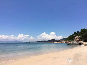 余8位 8月25日周日 相约惠东情人湾 醉美沙滩逐海浪