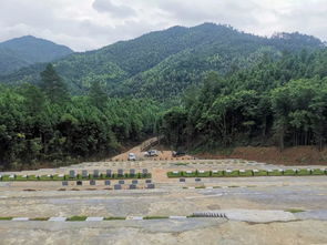 风水宝地正确生肖