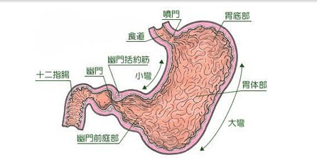 了解胃癌复发因素,注意术后预防 