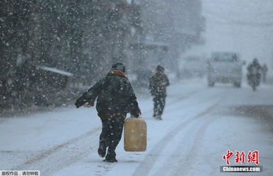 百年一遇大雪突袭中东 