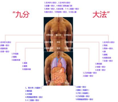 医学上九分法是怎么区分,各分区的名称 