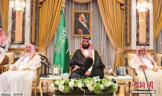 沙特新王储本 萨勒曼宣誓就职 萨勒曼有多少钱 萨勒曼个人简介