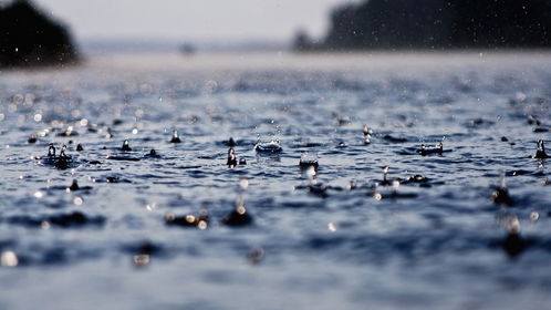 下雨天能扫墓吗