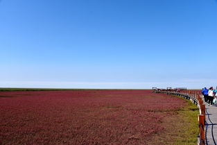 葫芦岛游记 