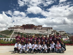 中南大学赴西藏拉萨社会实践团举办联合宣传活动 