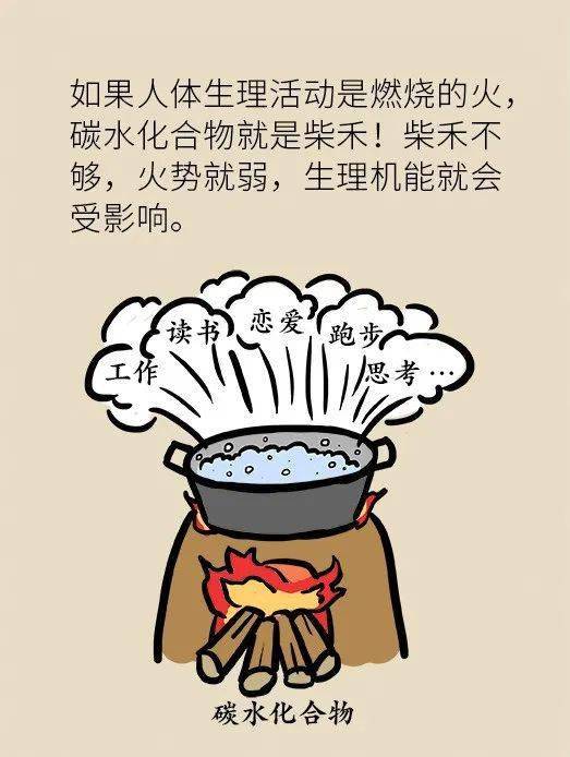 趣识 吃少了会变笨,吃多了会变胖,神内专家教你如何 科学吃饭 