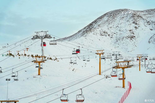 全世界唯一在城市里的国际滑雪场 有公交车直达 你知道在哪里吗