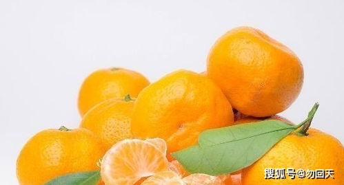 孕妇怀孕后能吃橙子吗 橙子和橘子哪个更合适 为宝宝了解一下